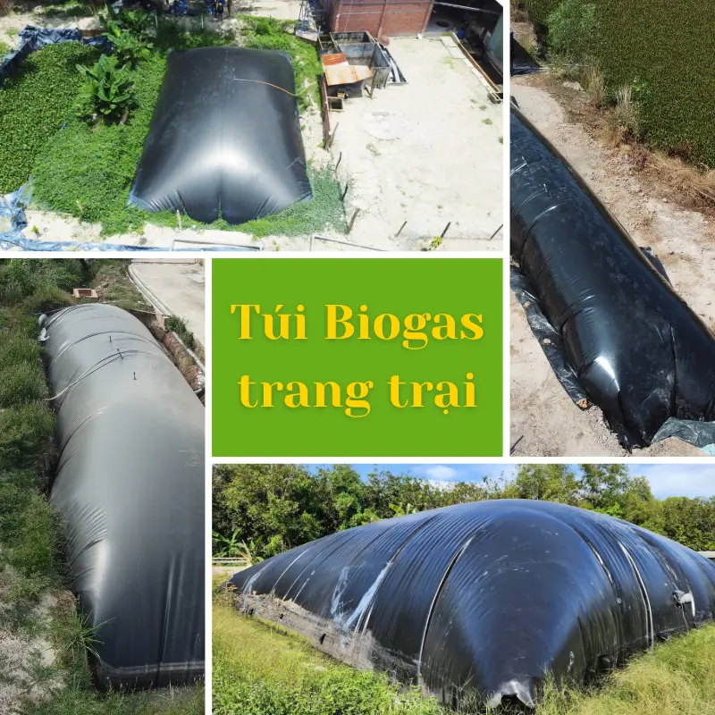 Báo Giá Túi Biogas 200 Khối – 400 Khối Mới Nhất: Giải Pháp Xử Lý Chất Thải Trang Trại Quy Quy Mô Lớn Đạt Hiệu Quả Kinh Tế Từ Tuấn Biogas